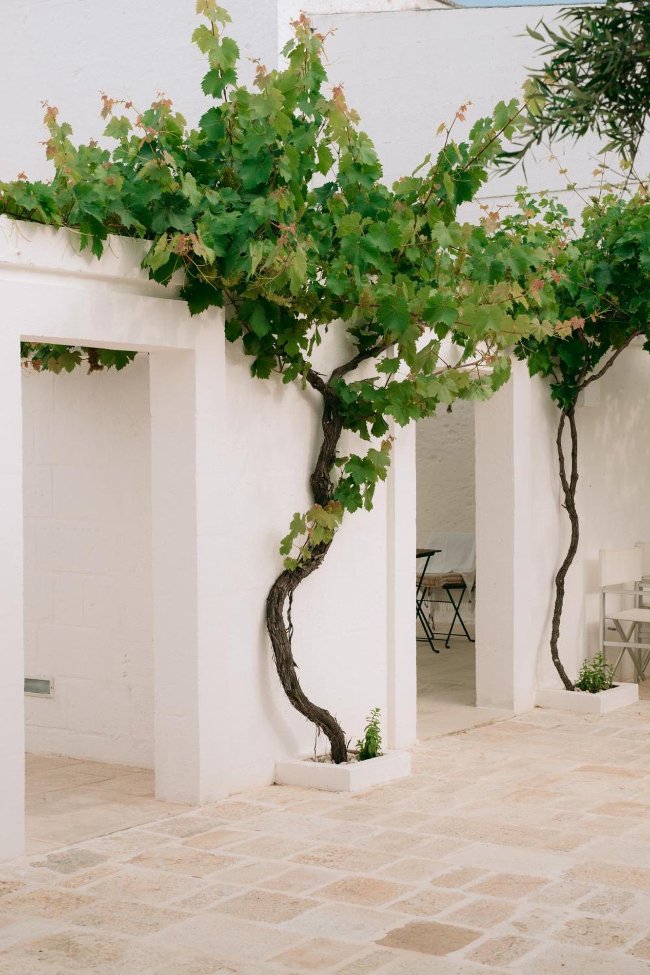 Oltre Gli Ulivi Bed & Breakfast Ostuni Dış mekan fotoğraf